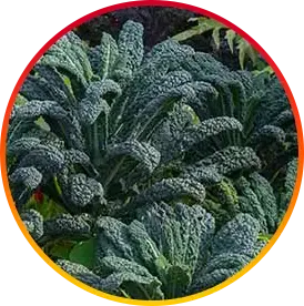 Hepatoburn Glutathione png